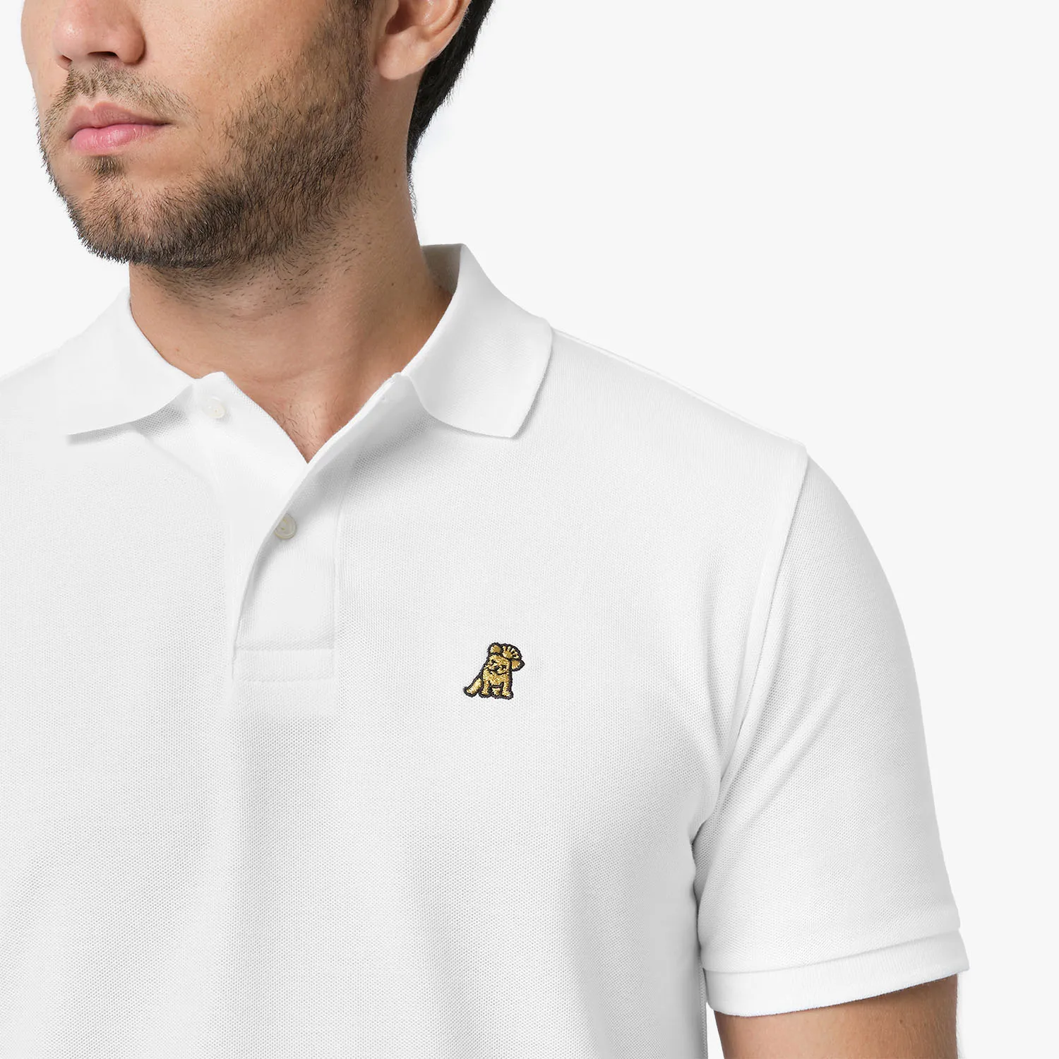 Men's Regular Fit Polo Shirt