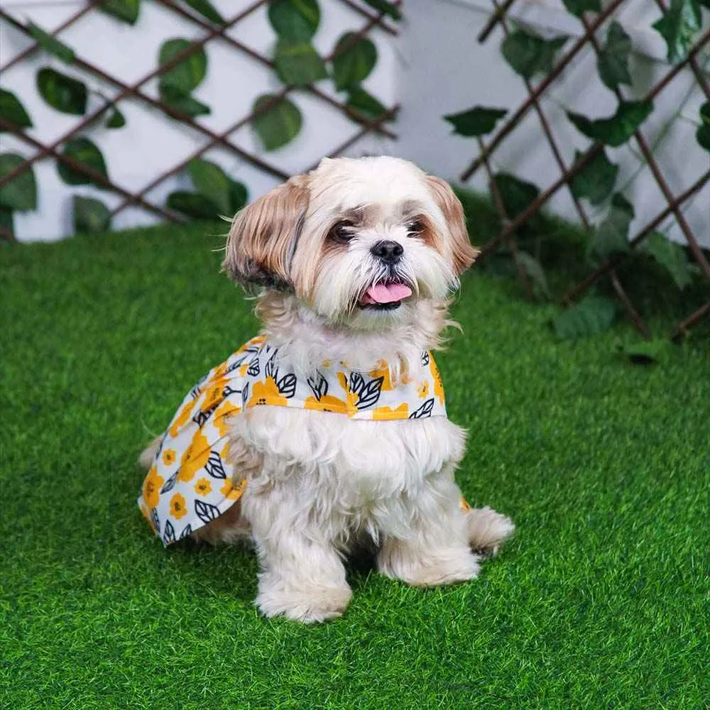 Pawshic Yellow Floral Dress